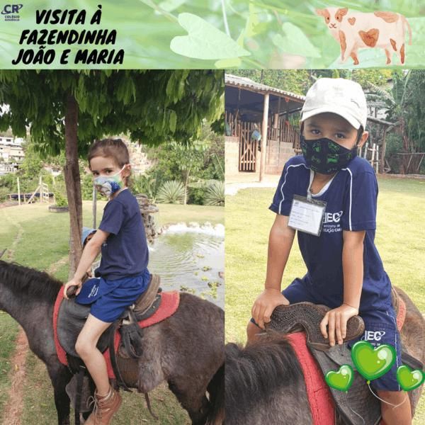 excursao-a-fazendinha-joao-e-maria-