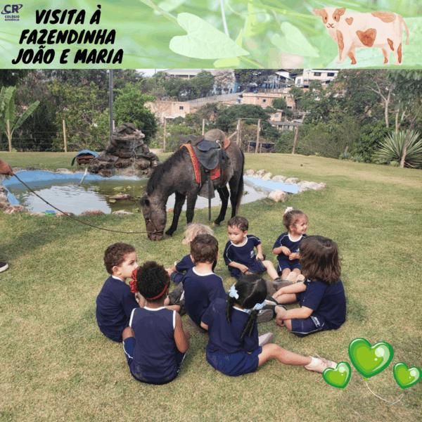 excursao-a-fazendinha-joao-e-maria-