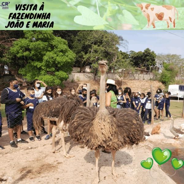 excursao-a-fazendinha-joao-e-maria-