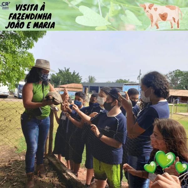 excursao-a-fazendinha-joao-e-maria-