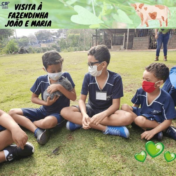 excursao-a-fazendinha-joao-e-maria-