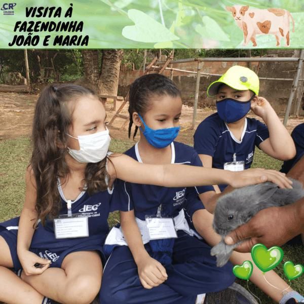 excursao-a-fazendinha-joao-e-maria-