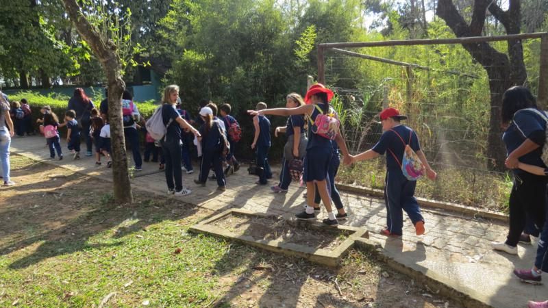 excursao-ao-zoologico-bh-