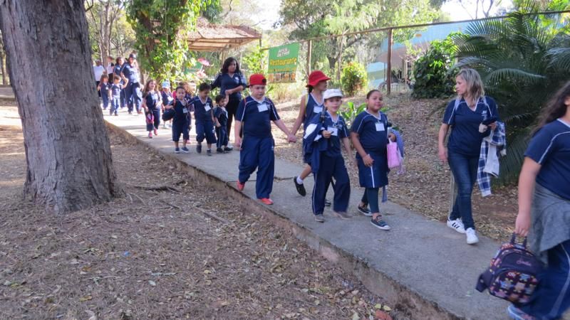 excursao-ao-zoologico-bh-