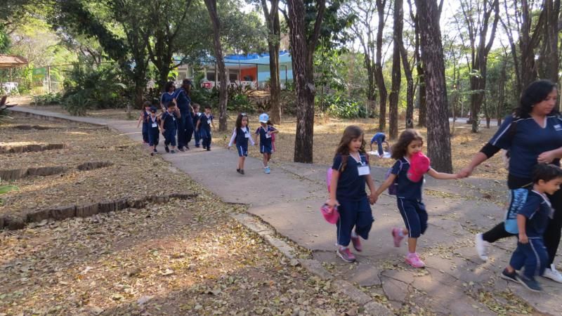 excursao-ao-zoologico-bh-