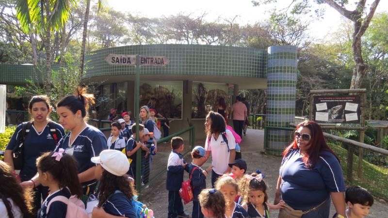 excursao-ao-zoologico-bh-