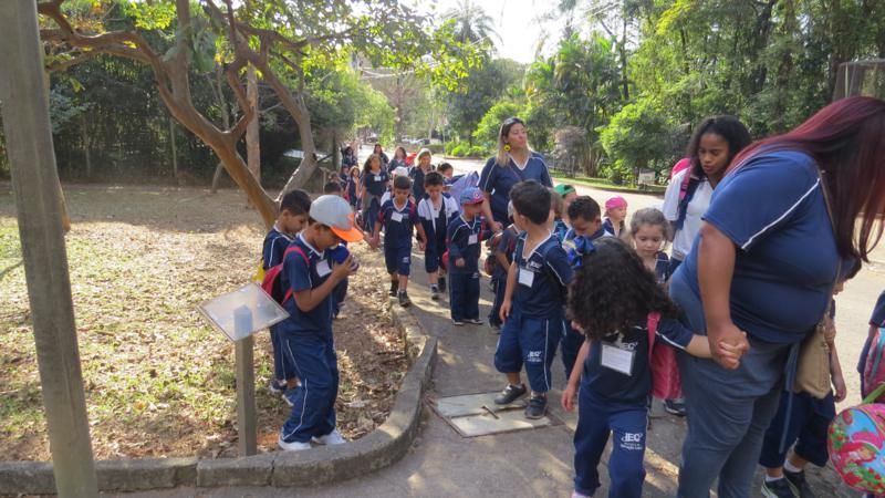 excursao-ao-zoologico-bh-