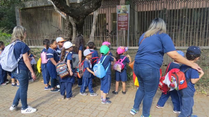 excursao-ao-zoologico-bh-
