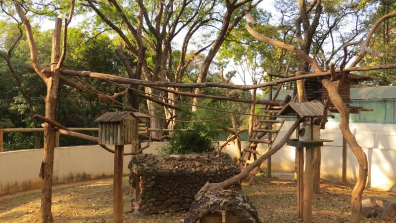 excursao-ao-zoologico-bh-