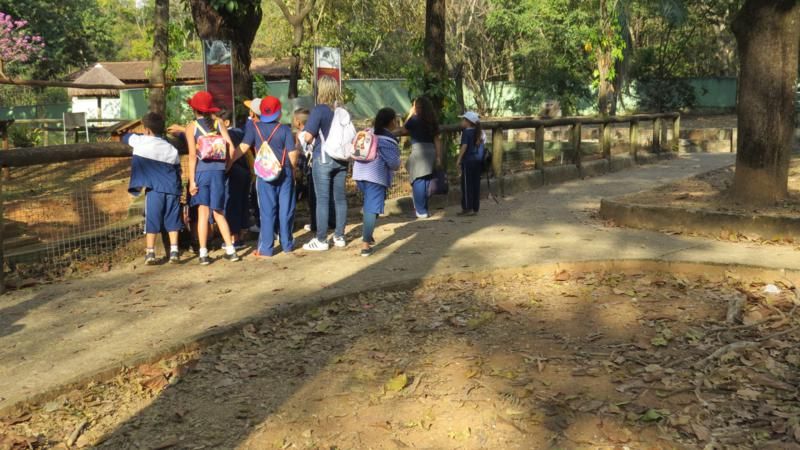 excursao-ao-zoologico-bh-