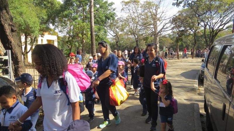 excursao-ao-zoologico-bh-