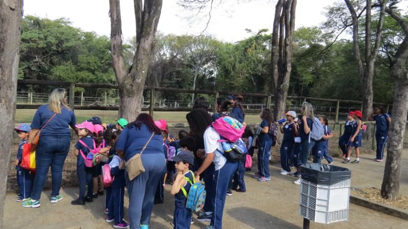 excursao-ao-zoologico-bh-