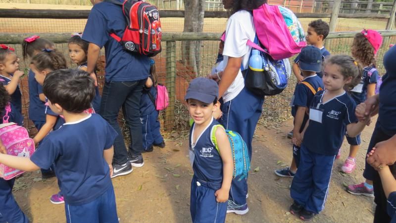 excursao-ao-zoologico-bh-