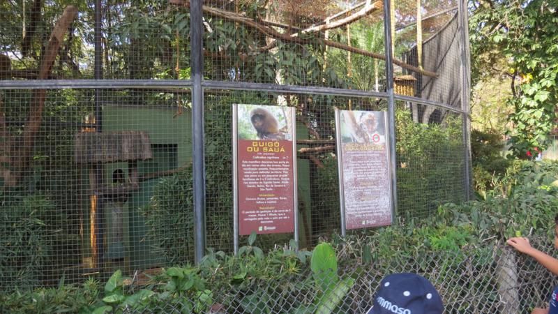 excursao-ao-zoologico-bh-
