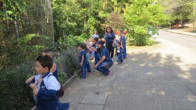 excursao-ao-zoologico-bh-