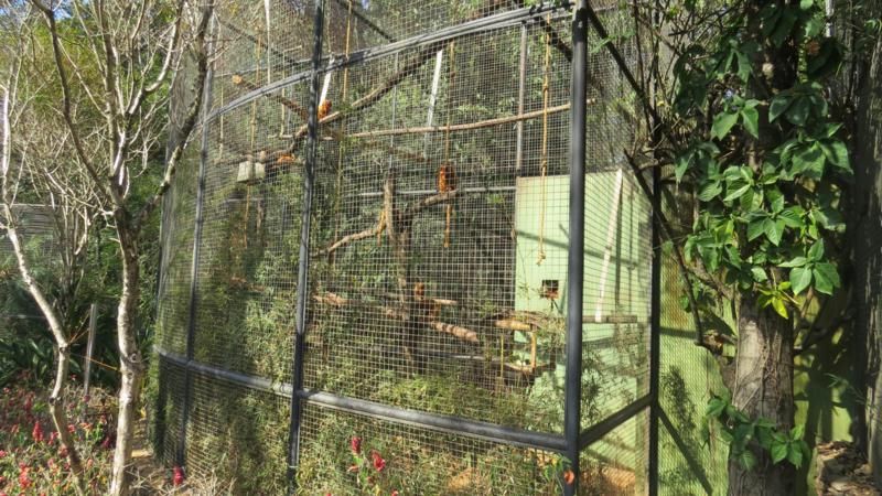 excursao-ao-zoologico-bh-