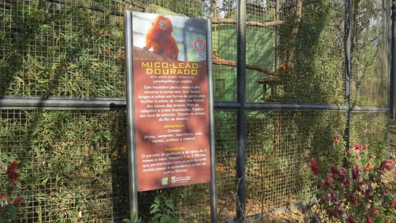 excursao-ao-zoologico-bh-
