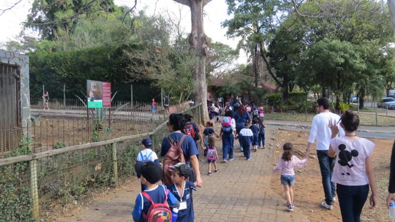 excursao-ao-zoologico-bh-