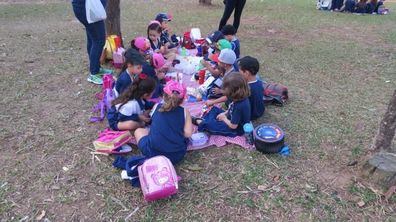 excursao-ao-zoologico-bh-