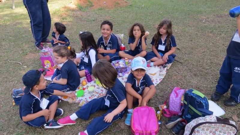 excursao-ao-zoologico-bh-