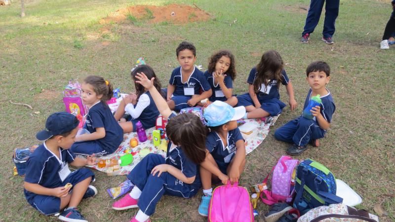 excursao-ao-zoologico-bh-