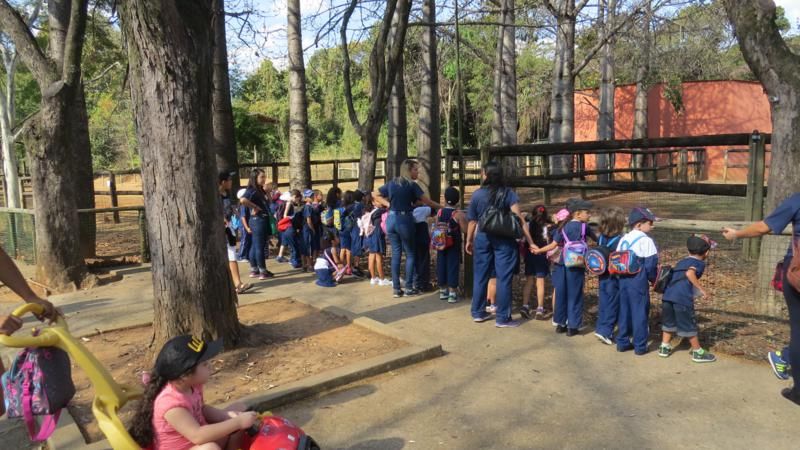 excursao-ao-zoologico-bh