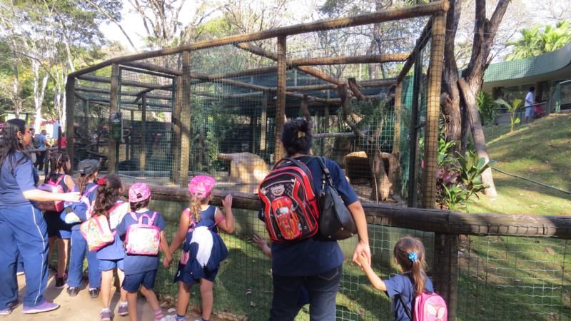 instituto-de-educacao-canaa-excursao-ao-zoologico-bh